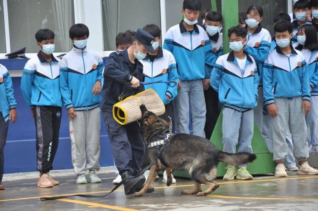 【國際禁毒日】讓青春遠離毒品 用法律呵護未來_蔡曉東_警營_活動