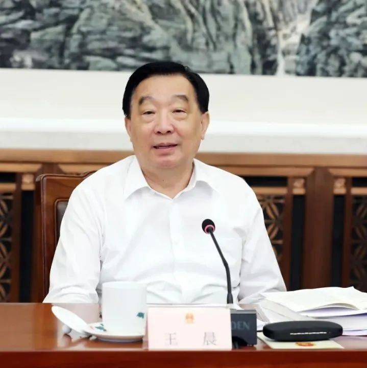 王晨:贯彻党中央决策部署扎实开展执法检查 突出重点任务 推进乡村振兴落地见效_许麟_保障_新发展