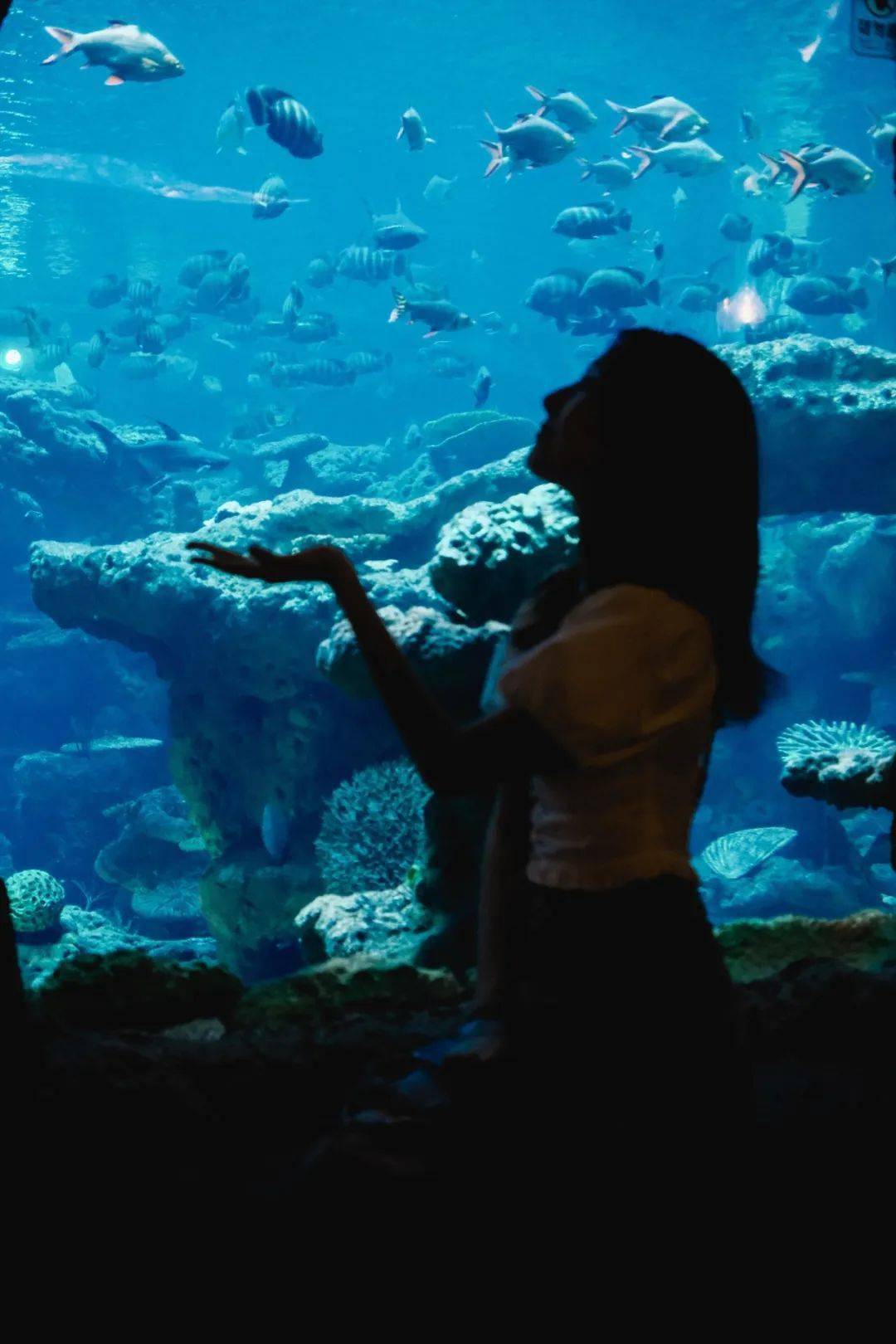 199元长鹿暑期专属嗨玩攻略建议收藏