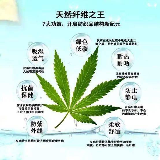 技术 用中国大麻替代法国亚麻是我国麻纺工业发展的必由之路 产品 纤维 大麻