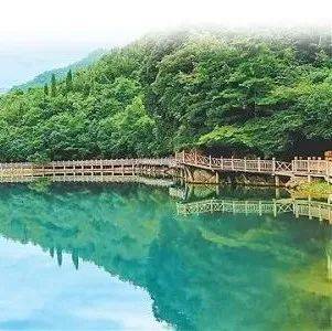 武都印象_万象洞_油橄榄_甘肃