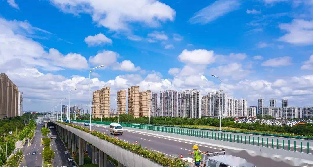 方兴大道滨湖段鲜花怒放!_合肥_绿化_高架桥