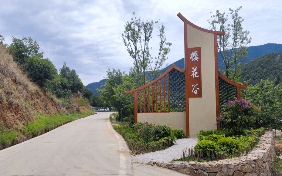 近日,在大田鎮小啊喇村櫻花谷旅遊景點,