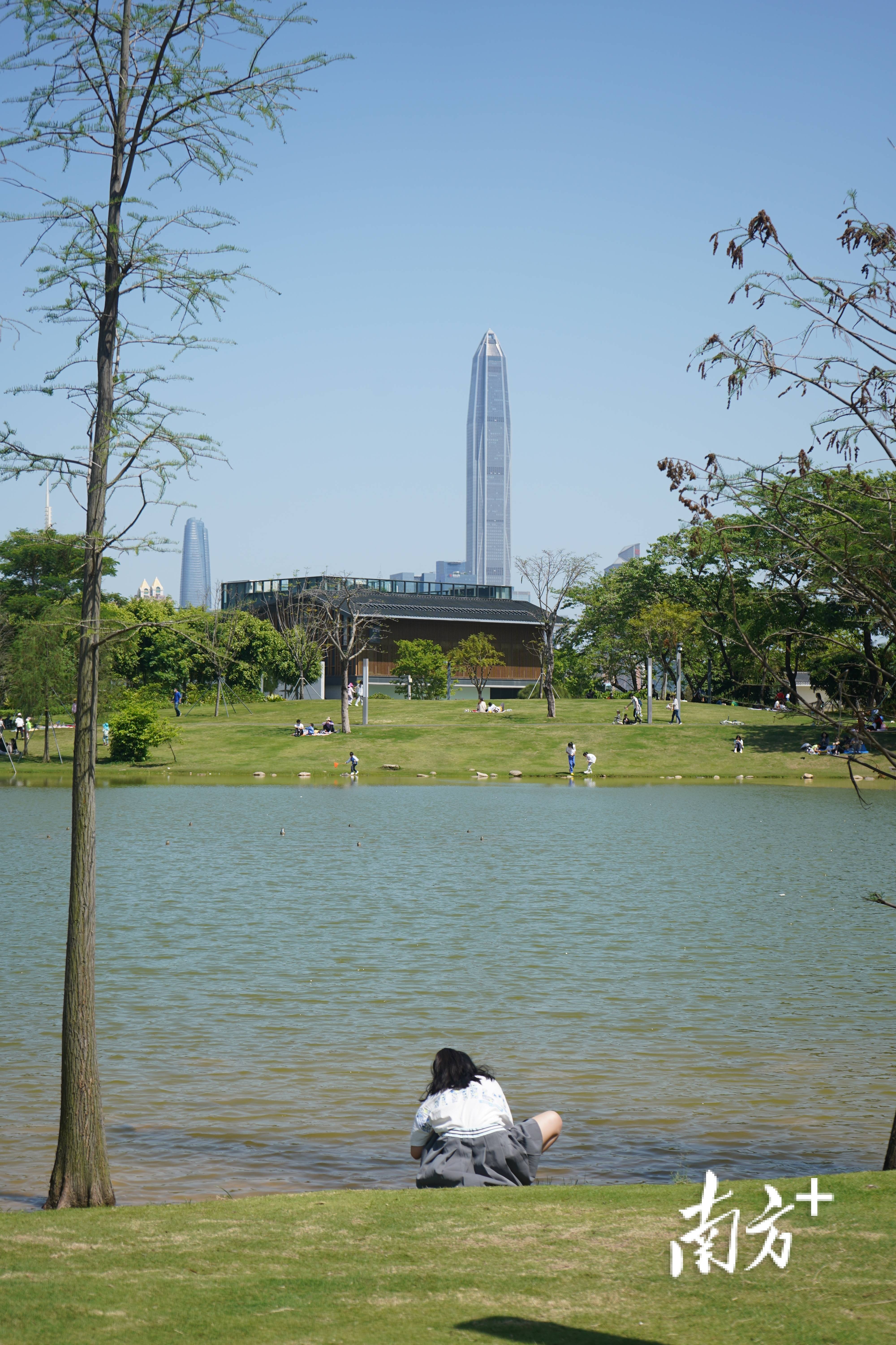 孙梦圆△京基100(摄影:黄靖逵△莲花山公园(摄影:谷政宇△莲花山