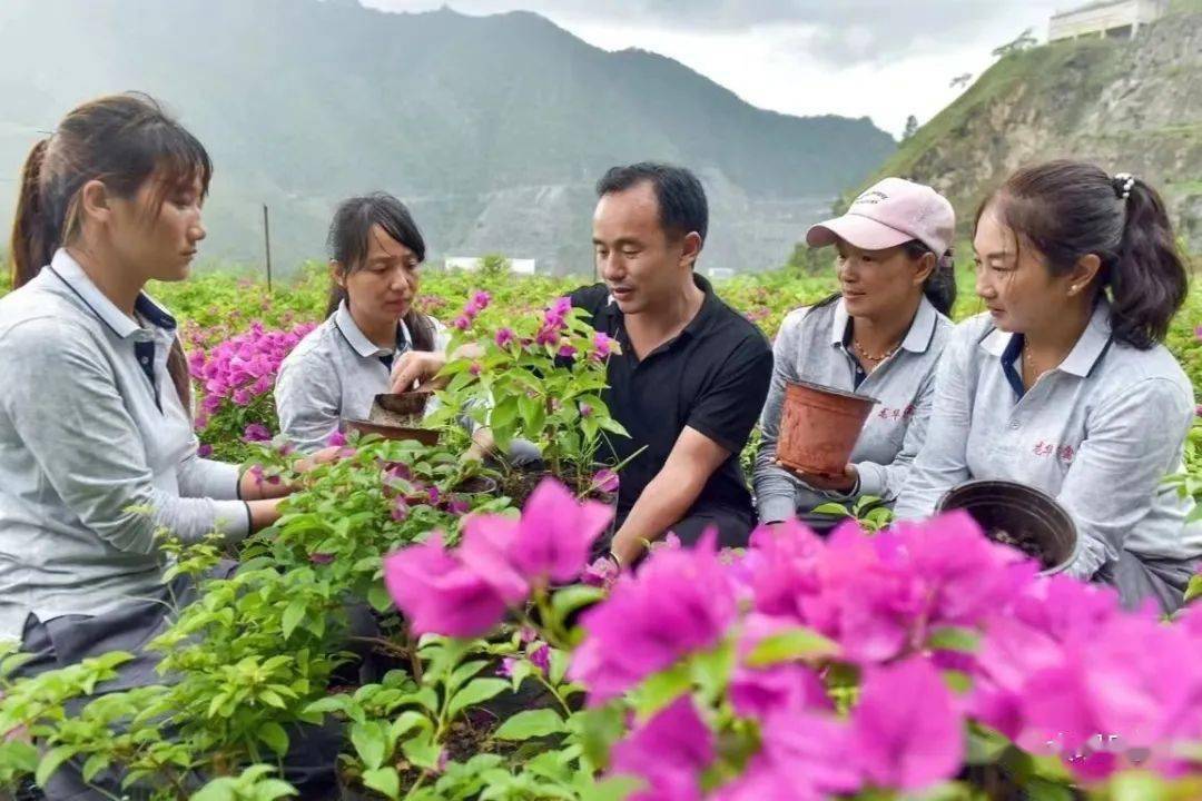 我们的新时代南涧杨宗富创业遇挫不气馁从头再来闯出致富路