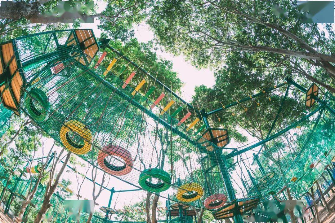 399元起南京森林大世界水乐园高空项目陆地项目一票通玩