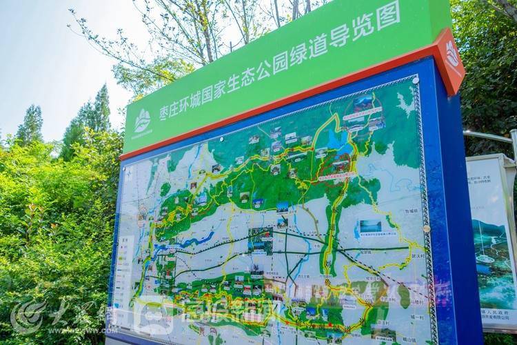 活力鲁南|神奇动物纷纷安家枣庄!多措并举让良好生态增添活力