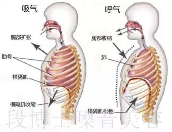 唱歌时气息流动图解图片