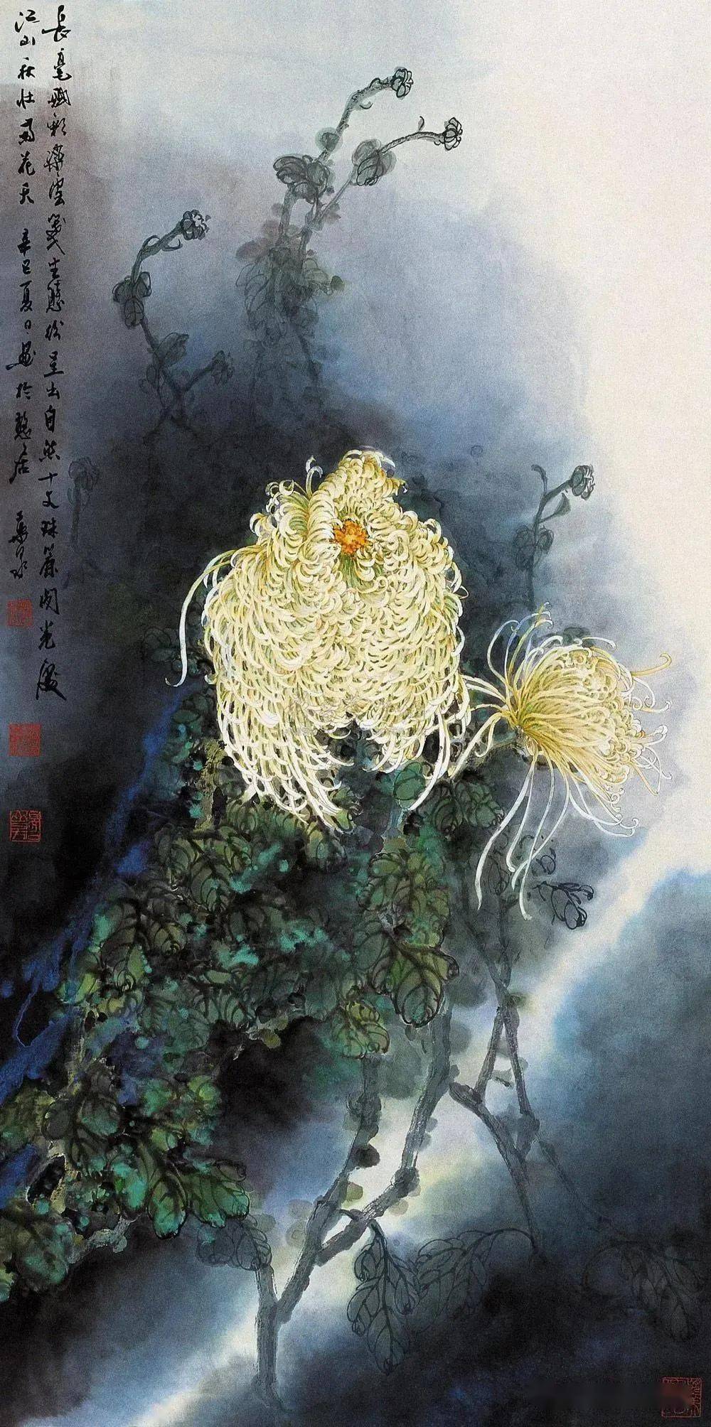 菊花王子葉泉