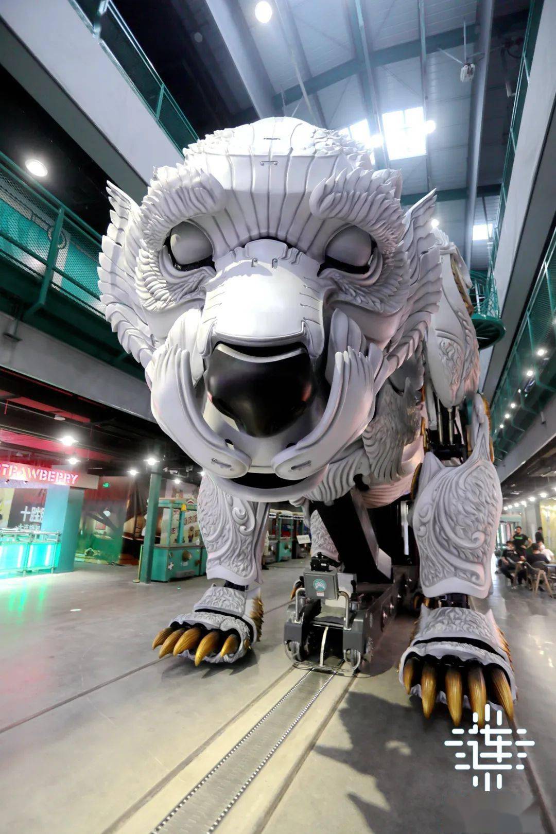 活动_机器人_慧谷