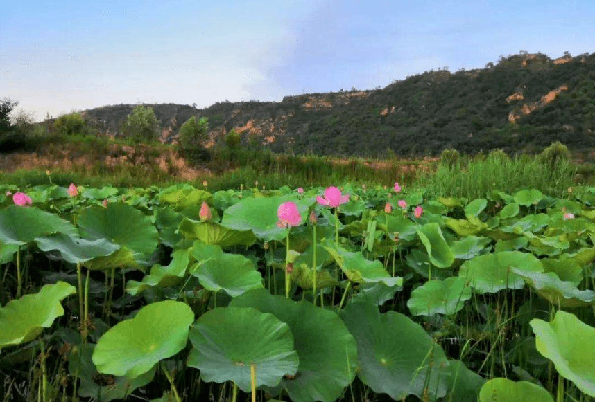 您好我叫長武這是我的簡歷請多關照