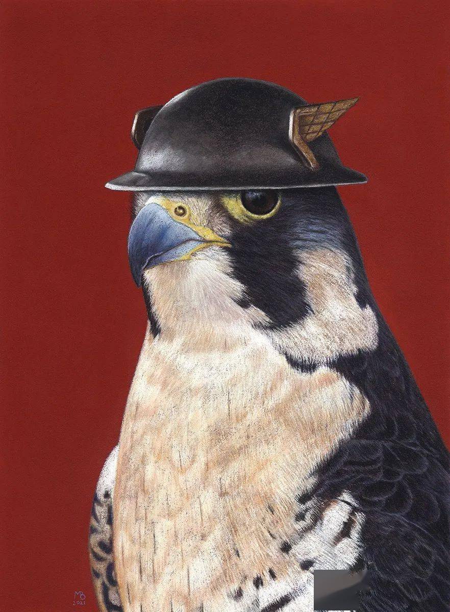 mikhailvedernikov你们见过戴帽子的鸟吗