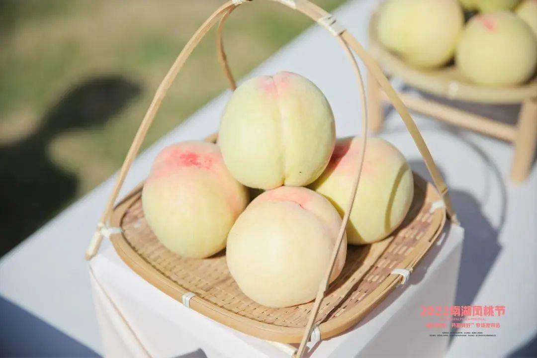 凤桥镇_水蜜桃_三星村