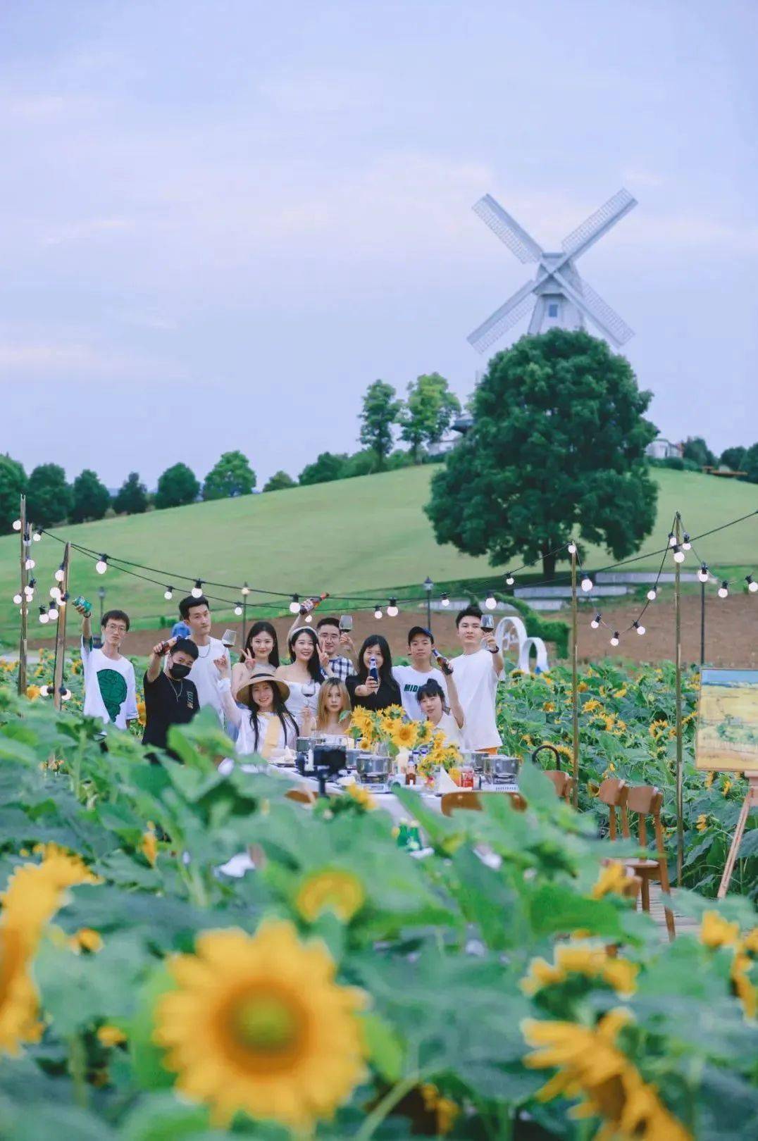 青白江消夏一日游路线出炉