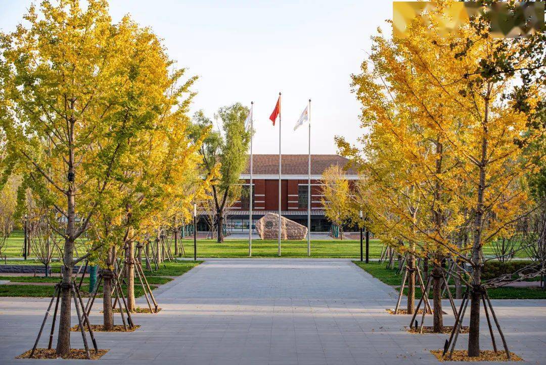现代大学的焕新之旅 | 华润大学雄安校区改造设计_校园_景观_轴线