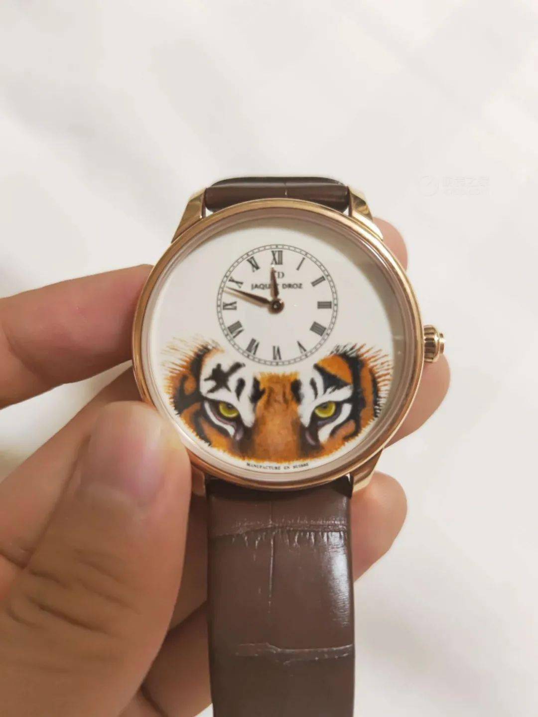 ����Ӯ�Ҿ籾:18����ſ˵���,���廪