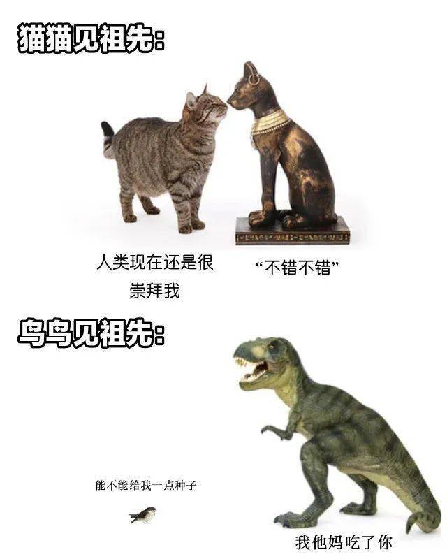 猫的祖先是谁图片