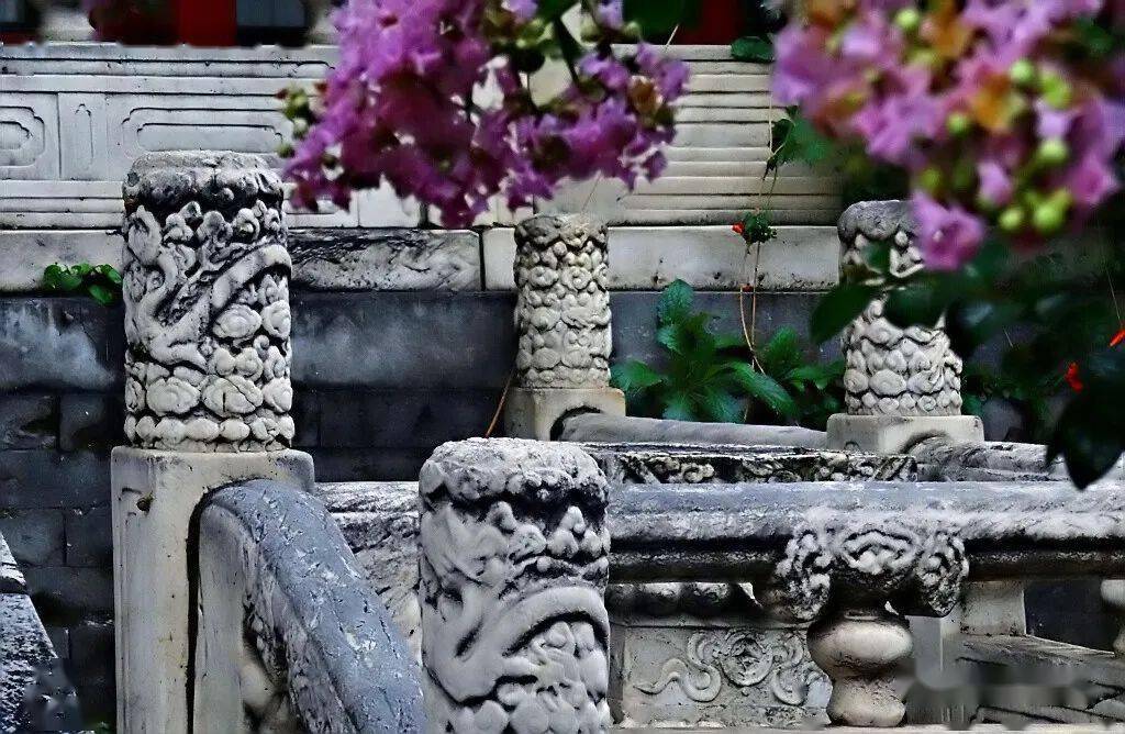 缀着团团色彩 从浅白到浅粉到重桃红的花簇 在金瓦红墙灰砖间 格外的鲜艳
