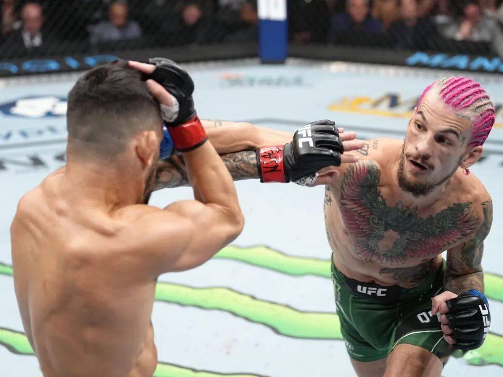 UFC276综述：阿迪萨亚、沃尔卡诺夫双双成功卫冕