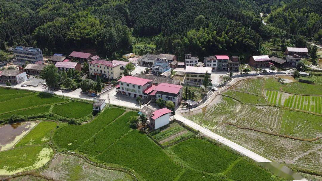 五型政府钤山镇红色治理新模式正式上线