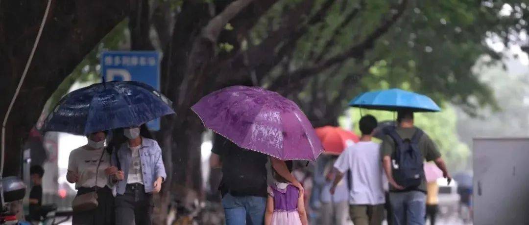 雨雨雨不停！广东114个暴雨预警信号生效中 台风 天气 韶关