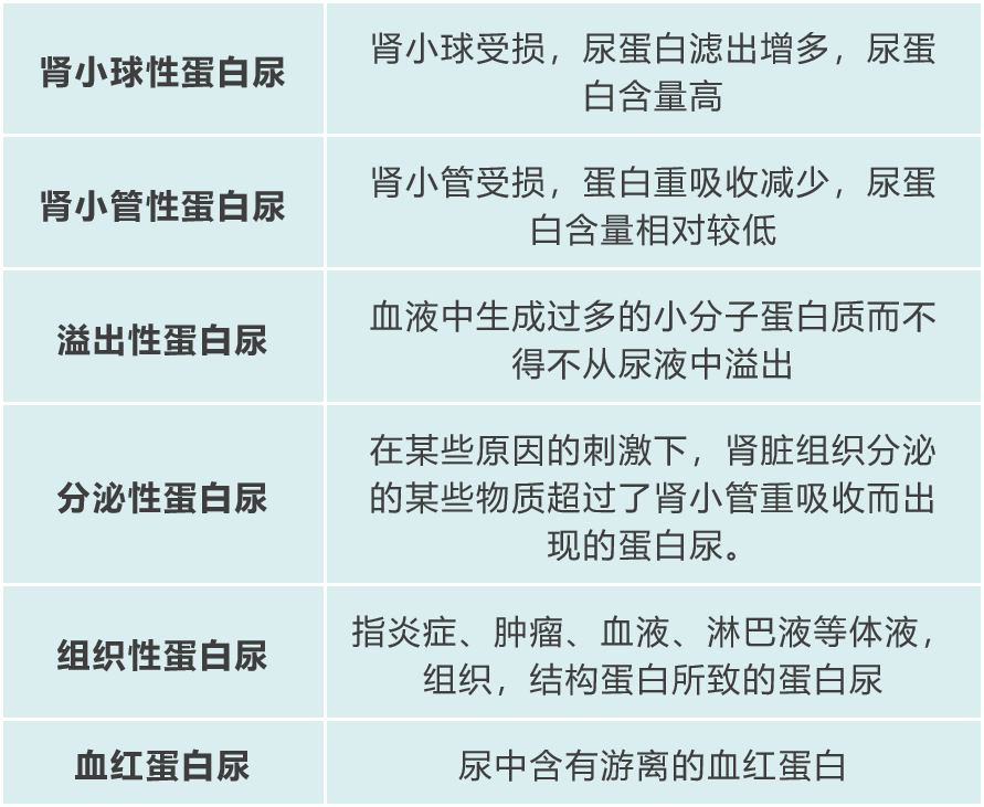 蛋白尿和正常尿区别图图片