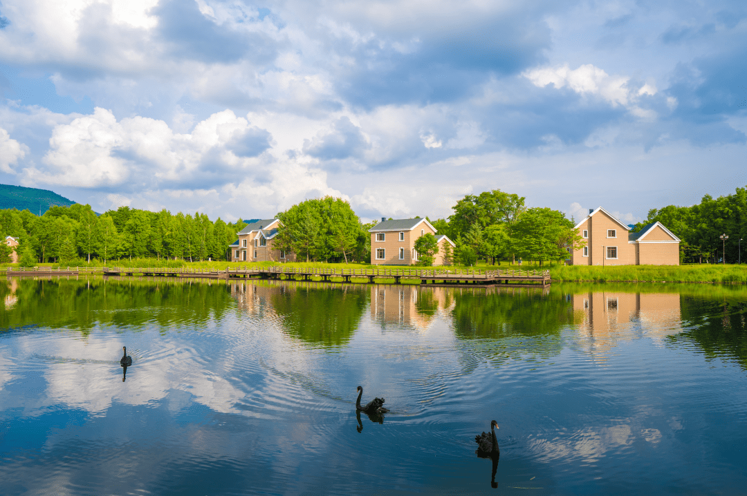 夏日惬意 尽在林都伊春_夏天_景中_美景