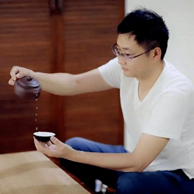 网络文学名家名作导读丛书更俗与楚臣好看值得耐心地看