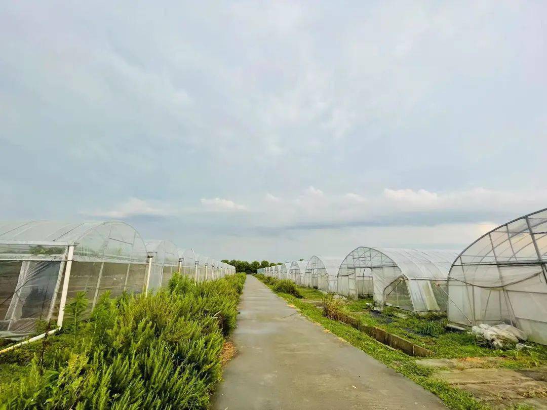 嘉田四季 八福农场——你期待的小记者采风研学活动不容错过!