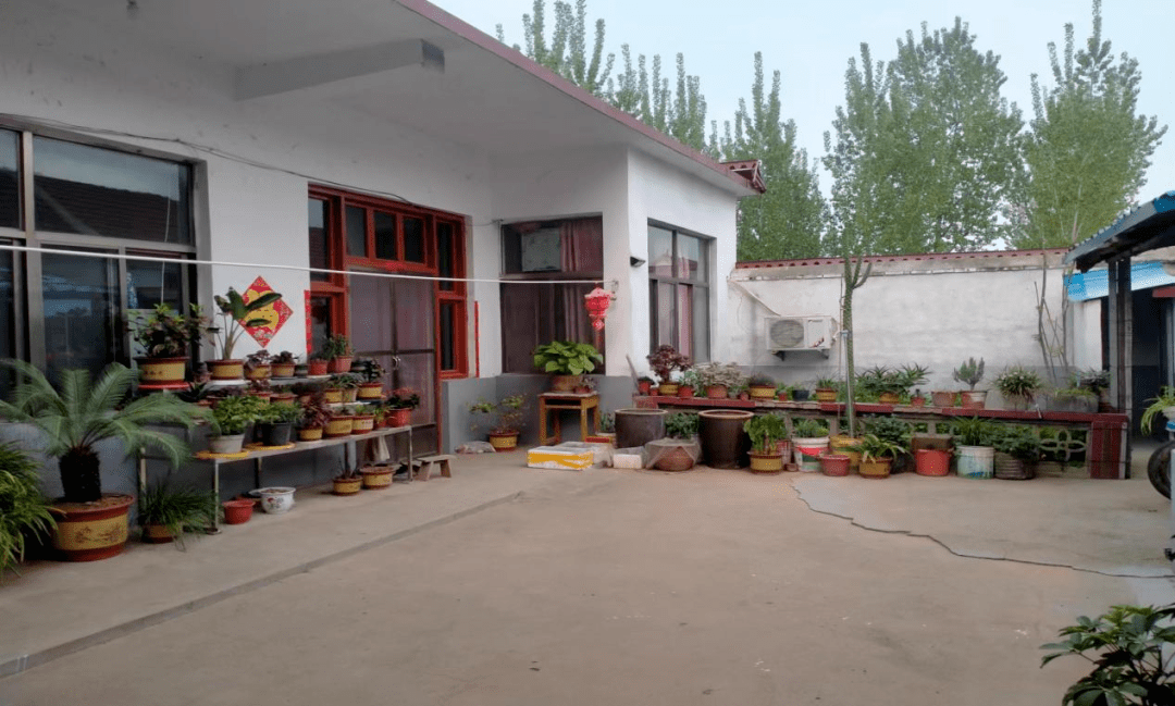 美丽庭院展播以庭院之美助力美丽乡村建设莲花湖村八里桥