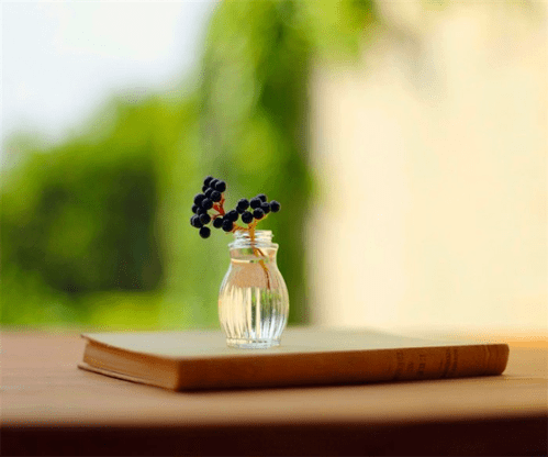 支付宝号在哪儿_支付宝工号_支付宝的支付宝号在哪里