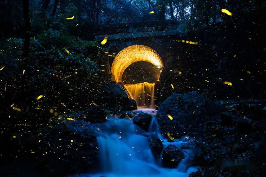 以下為修羅多年拍攝的金陵螢火蟲兜率寺:兜率寺山門外停車場老山:吳家