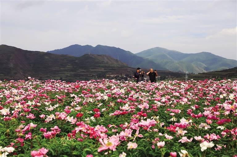 喜迎四海宾朋投资榆中盆地榆中县全力实现高质高效跨越发展新突破