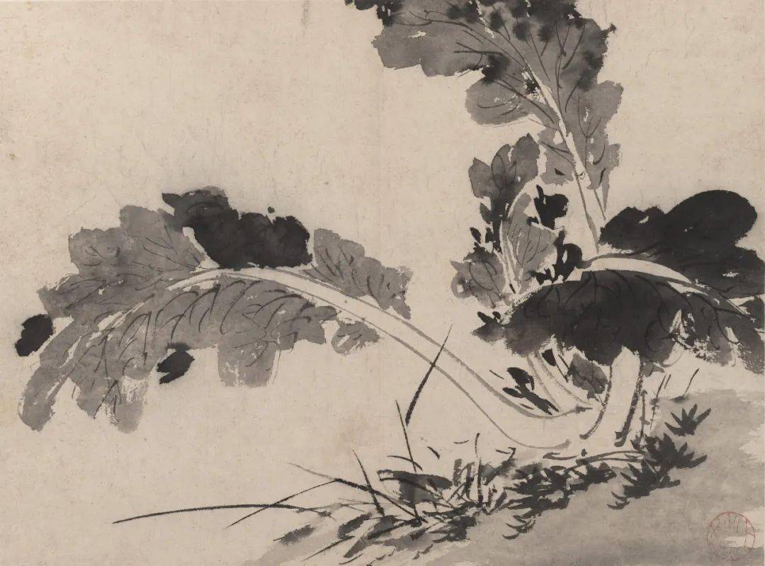 白阳陈淳以书入画开拓了花鸟画大写意新的艺术境地