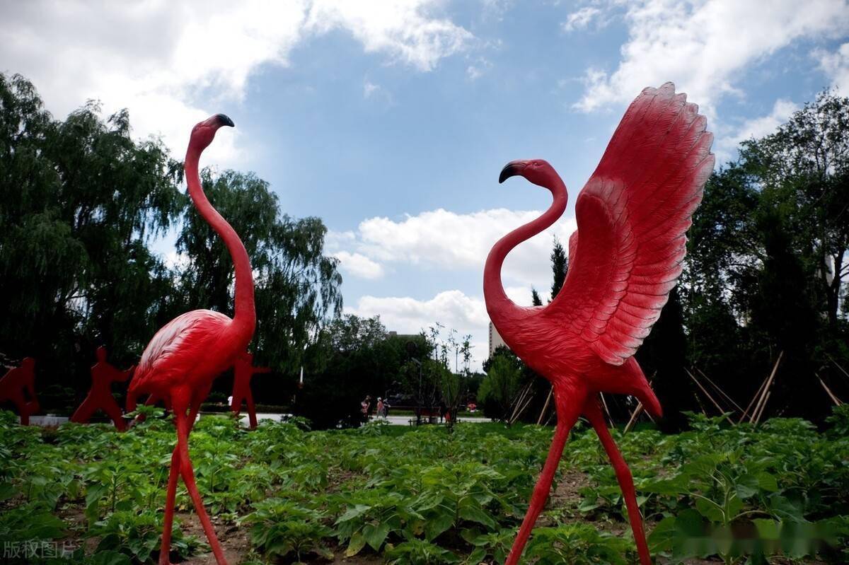 沈阳雨后劳动公园景色美