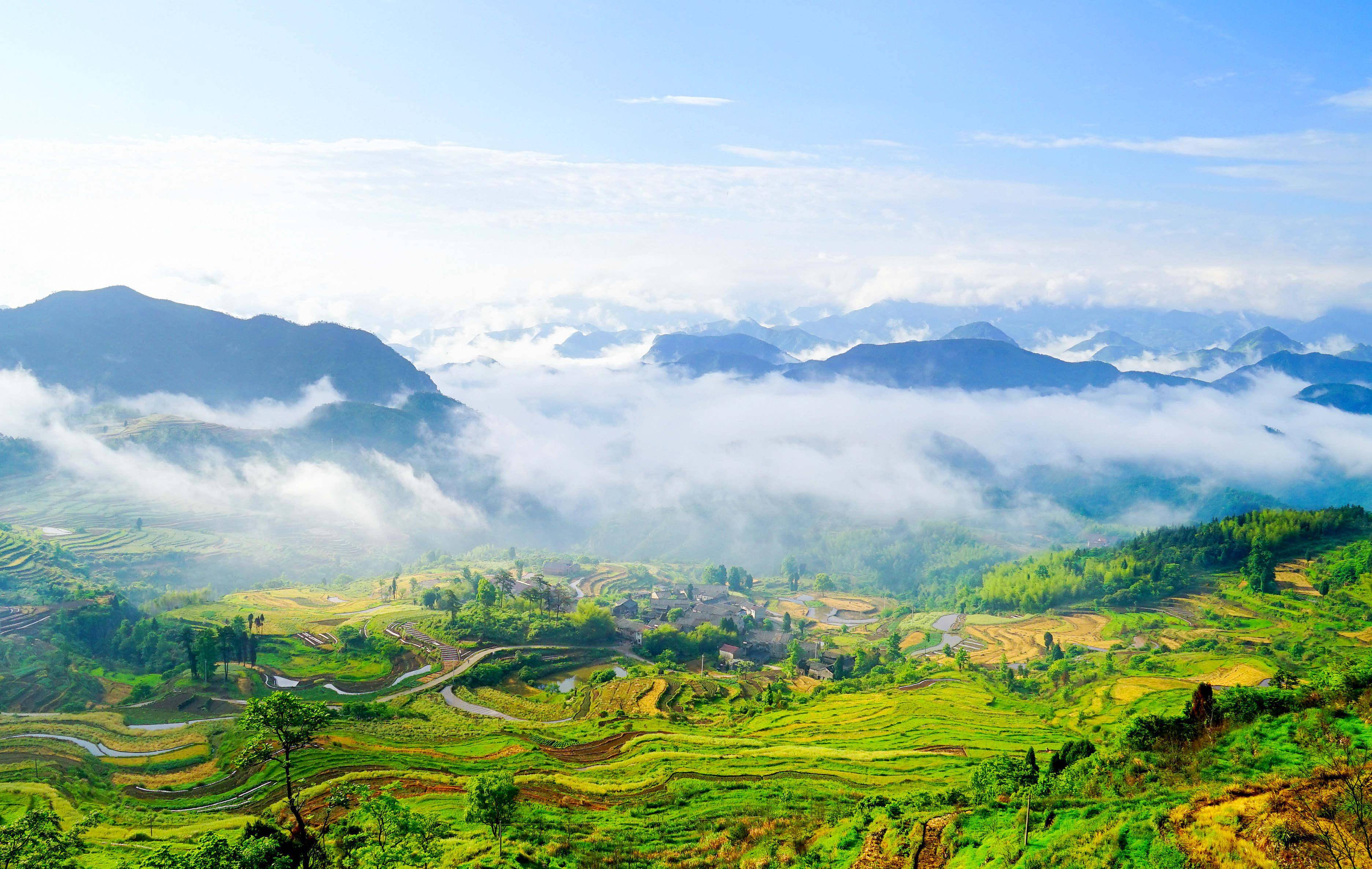台州仙居:守护生物多样性 铺就绿色共富路_自然保护区_仙居县_开展