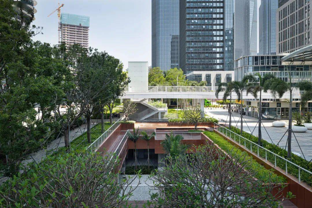 新作|深圳宝安滨海廊桥 / aube欧博设计 james corner field