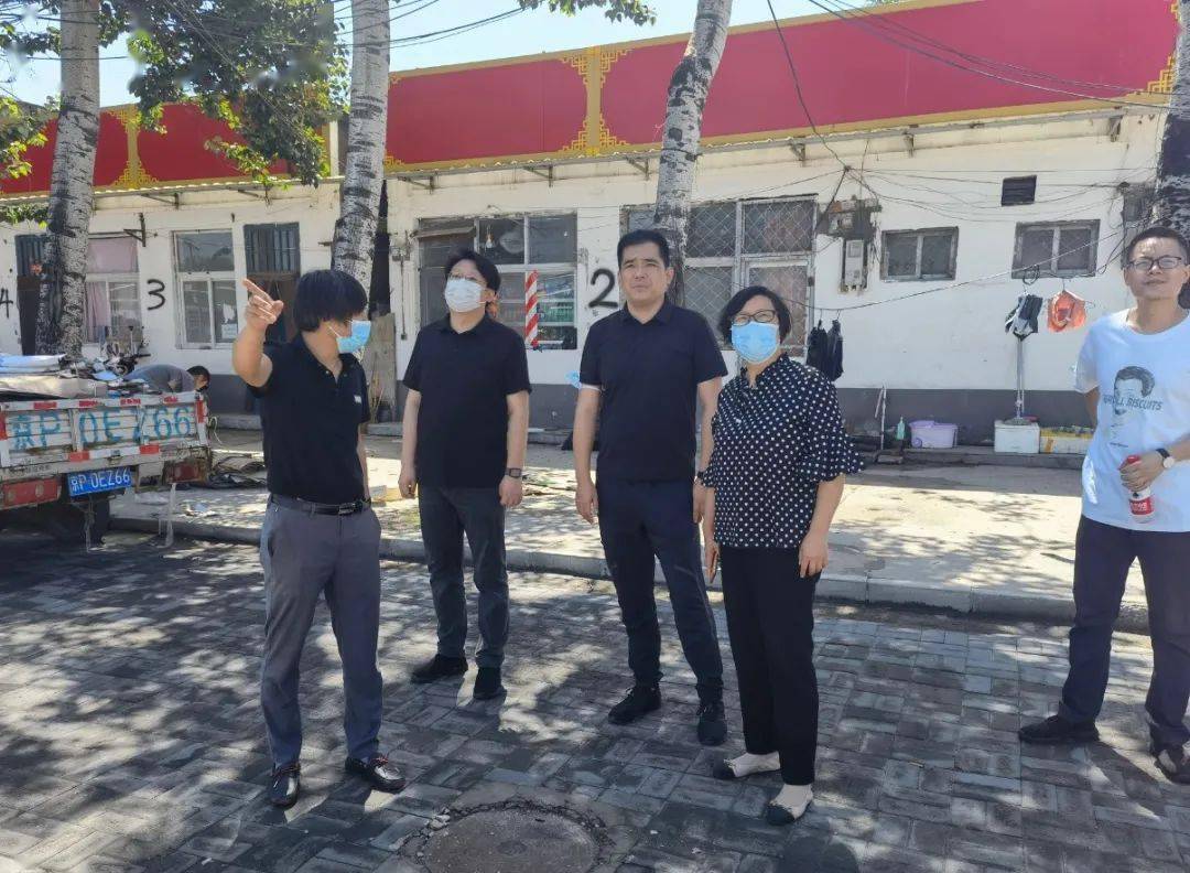 美丽乡村 区农业农村局督导城乡结合部重点村人居环境整治和美丽乡村建设工作 凌宏勤 上庄镇 问题