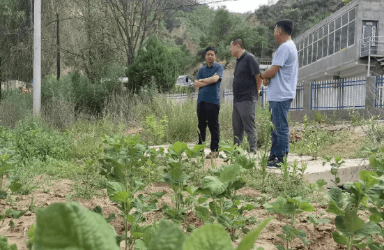 延安供銷集團考察現代農業示範園建設項目