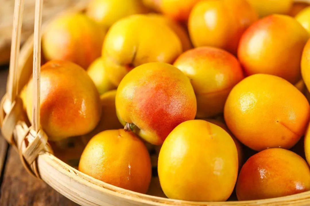 产地食材 ▎长在天山下的新疆小红杏爆甜来袭,香气馥郁,满口流蜜_严选