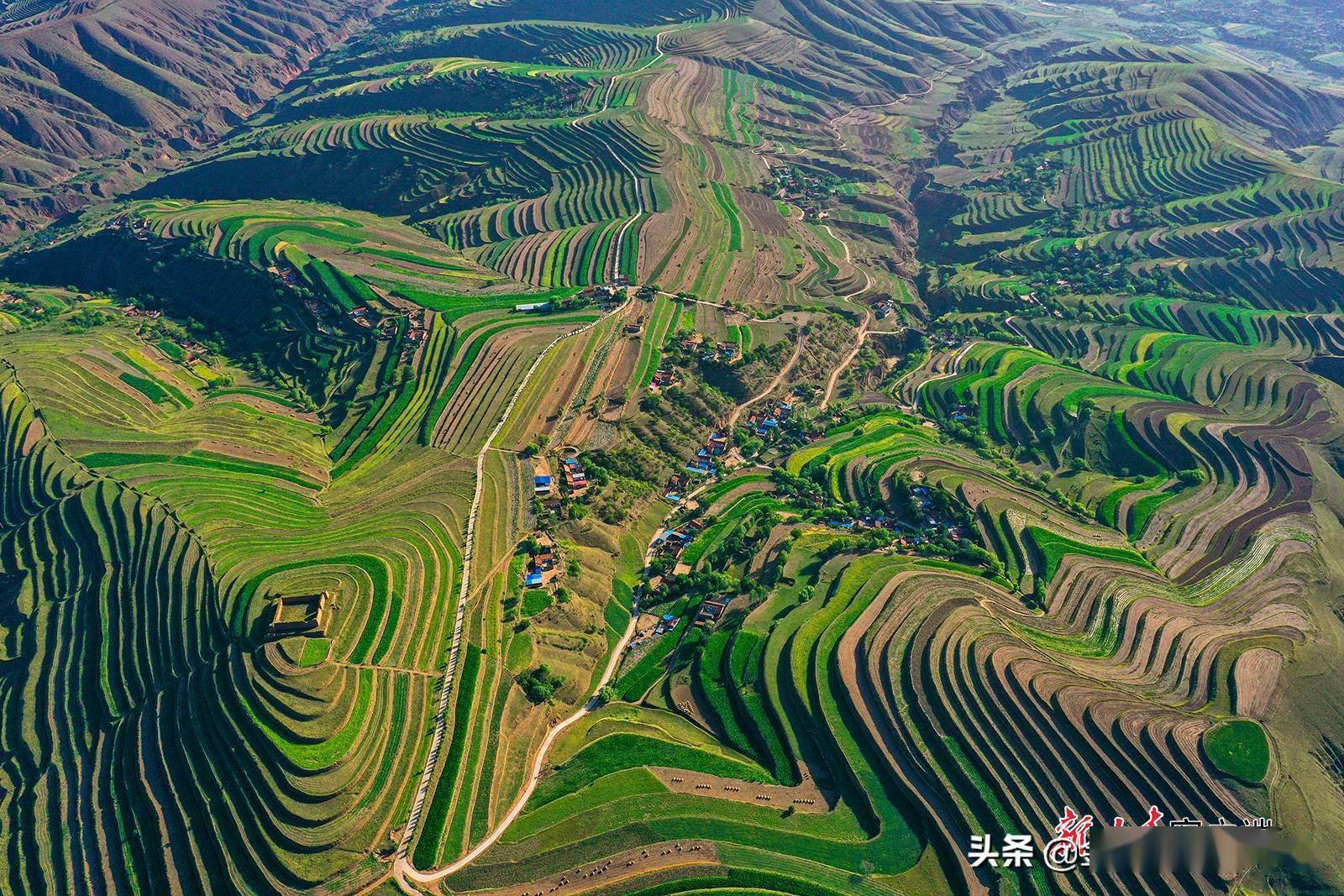 会宁县夏日梯田风光无限好_青山_甘肃_梁晓燕