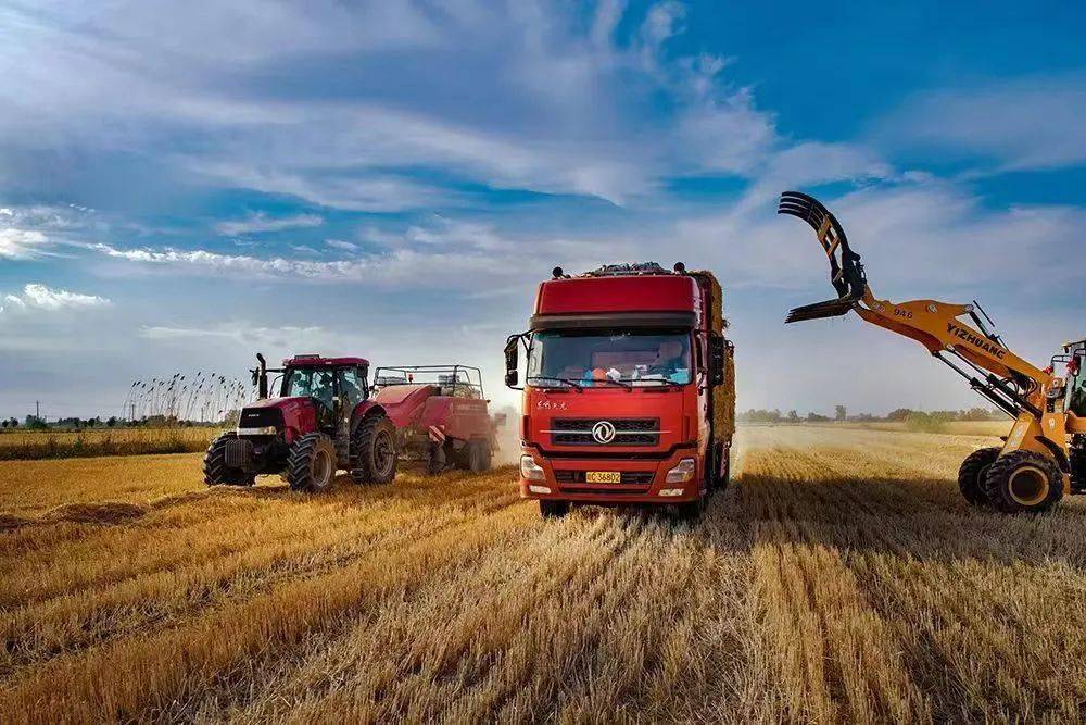 美图美景农业强农民富农村美三部曲810