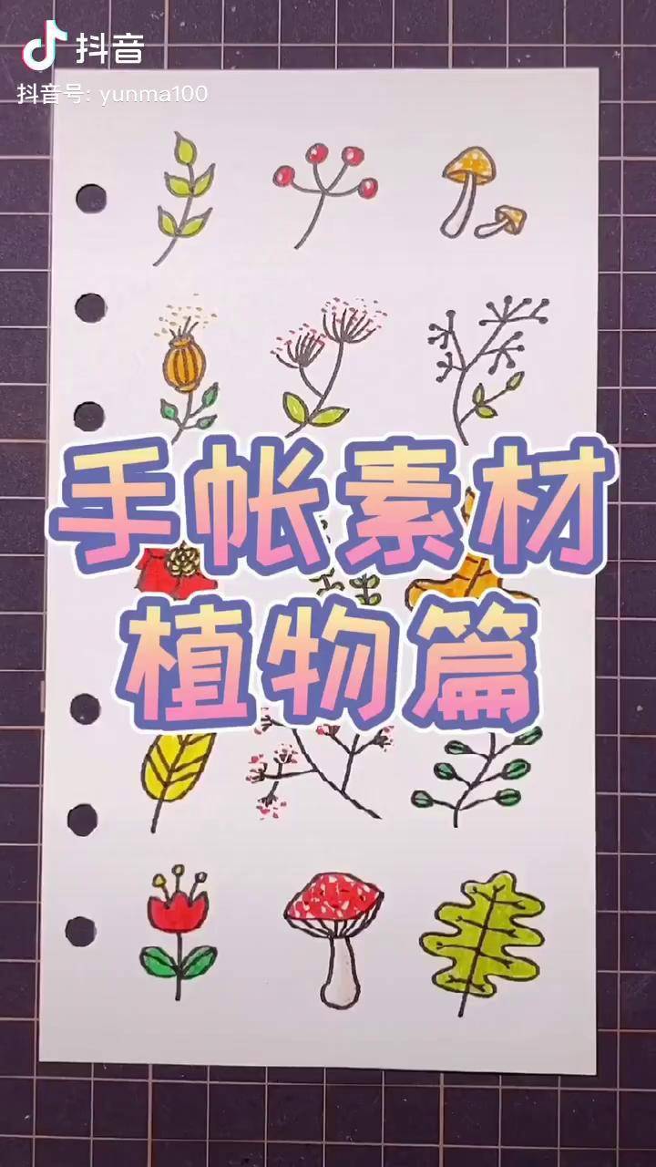 正经小清新植物素材一组～手帐 简笔画