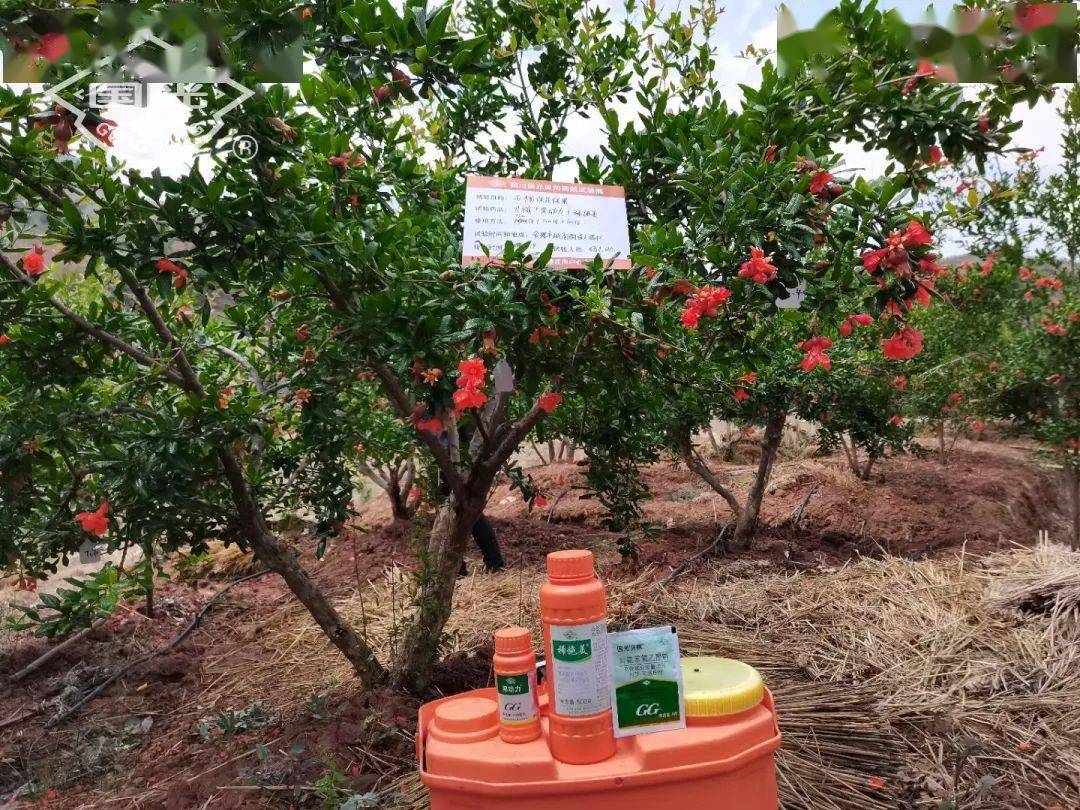 施,欲滴水为度使用方法42022年5月9日使用第二次2022年4月23日使用第