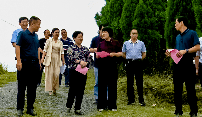 市人大调研组来东安开展小2型以上水库运行管理和维护情况调研