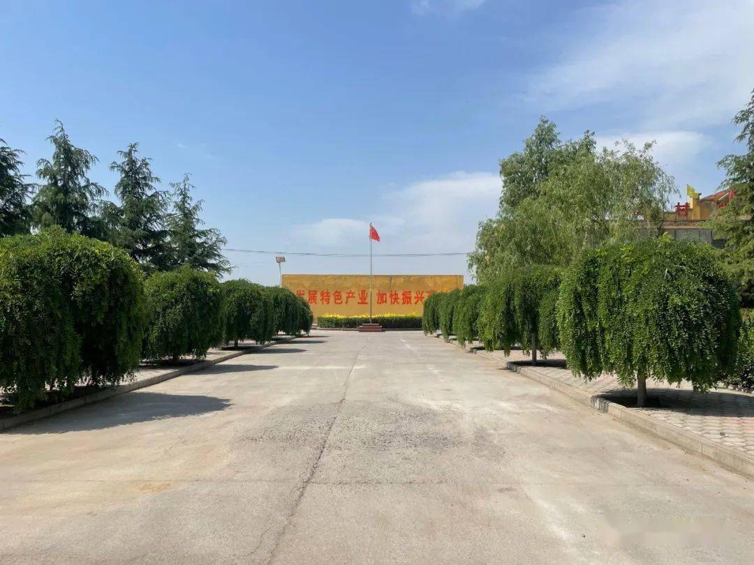 襄陵镇综合执法拆违治乱_执法队_黄线_整治