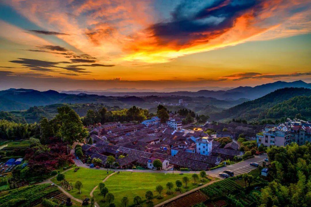 发展_义亭镇_赤岸镇