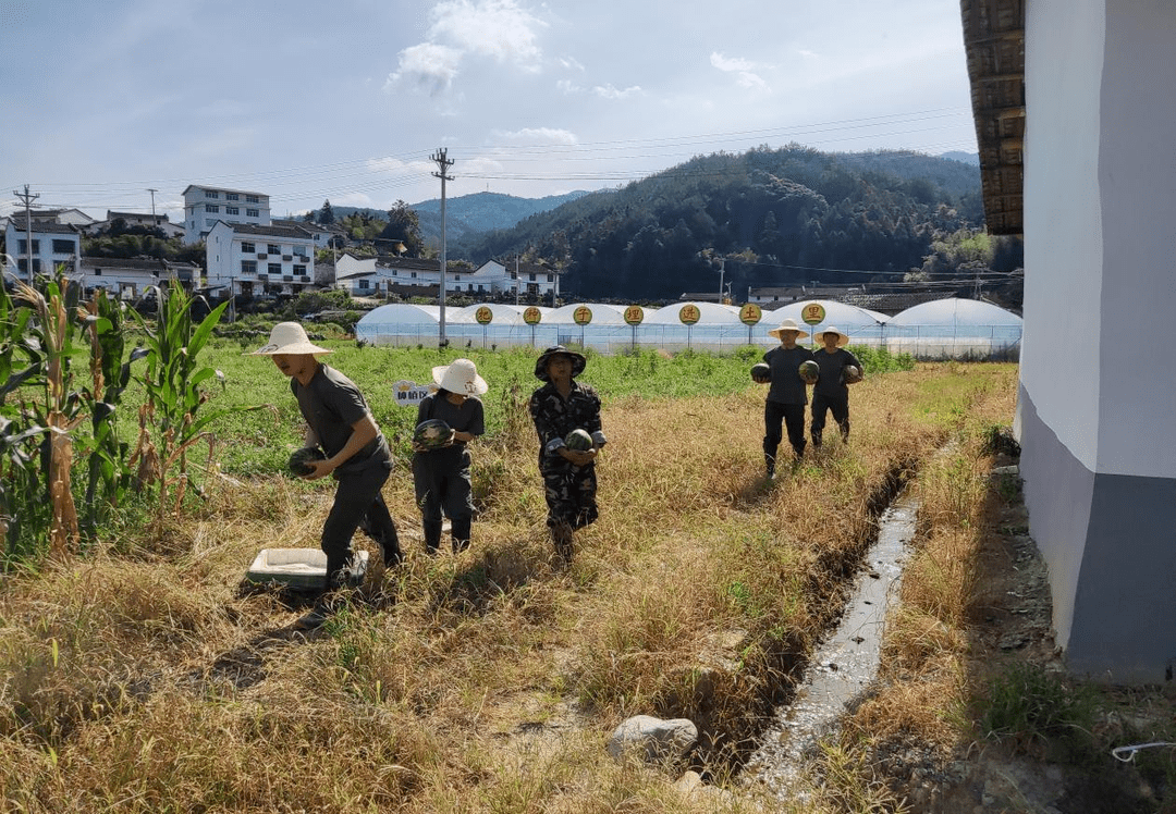 青年干部四下基层实践锻炼重温金翼文化发扬实践肯干精神