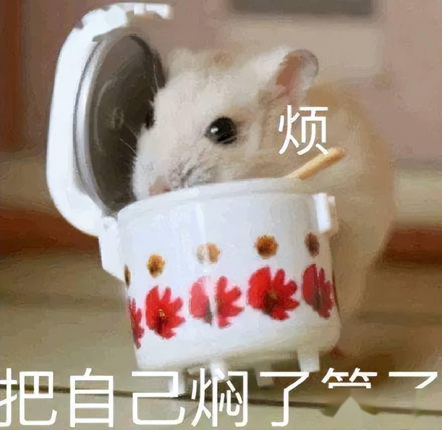 �Ϲ���2200Ԫ����һ�Է�����������װ������Ʒ����Ӳ� ...