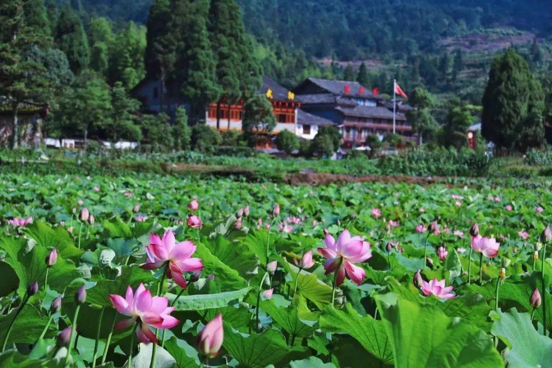 矾山埔坪村